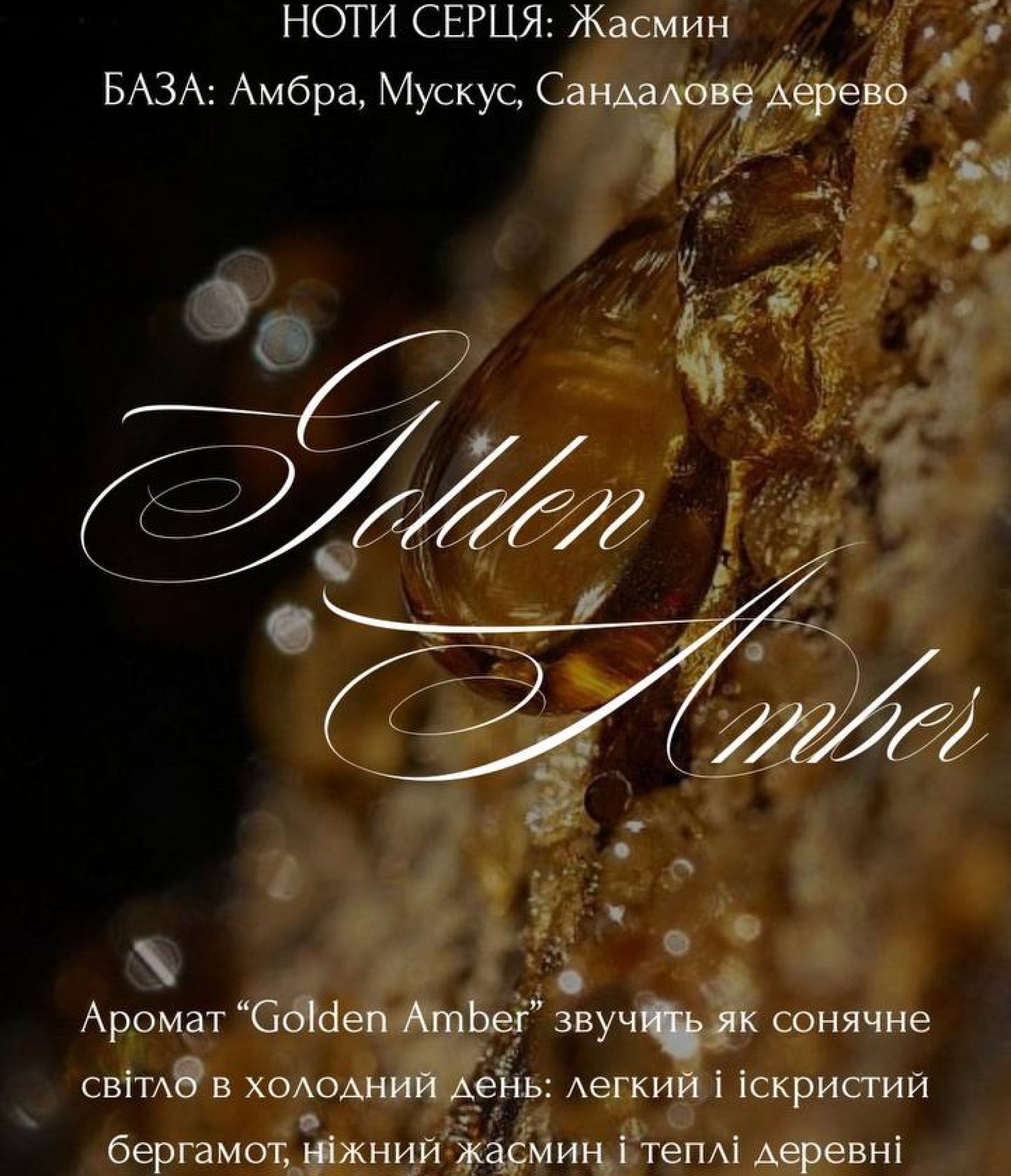 14_Golden Amber