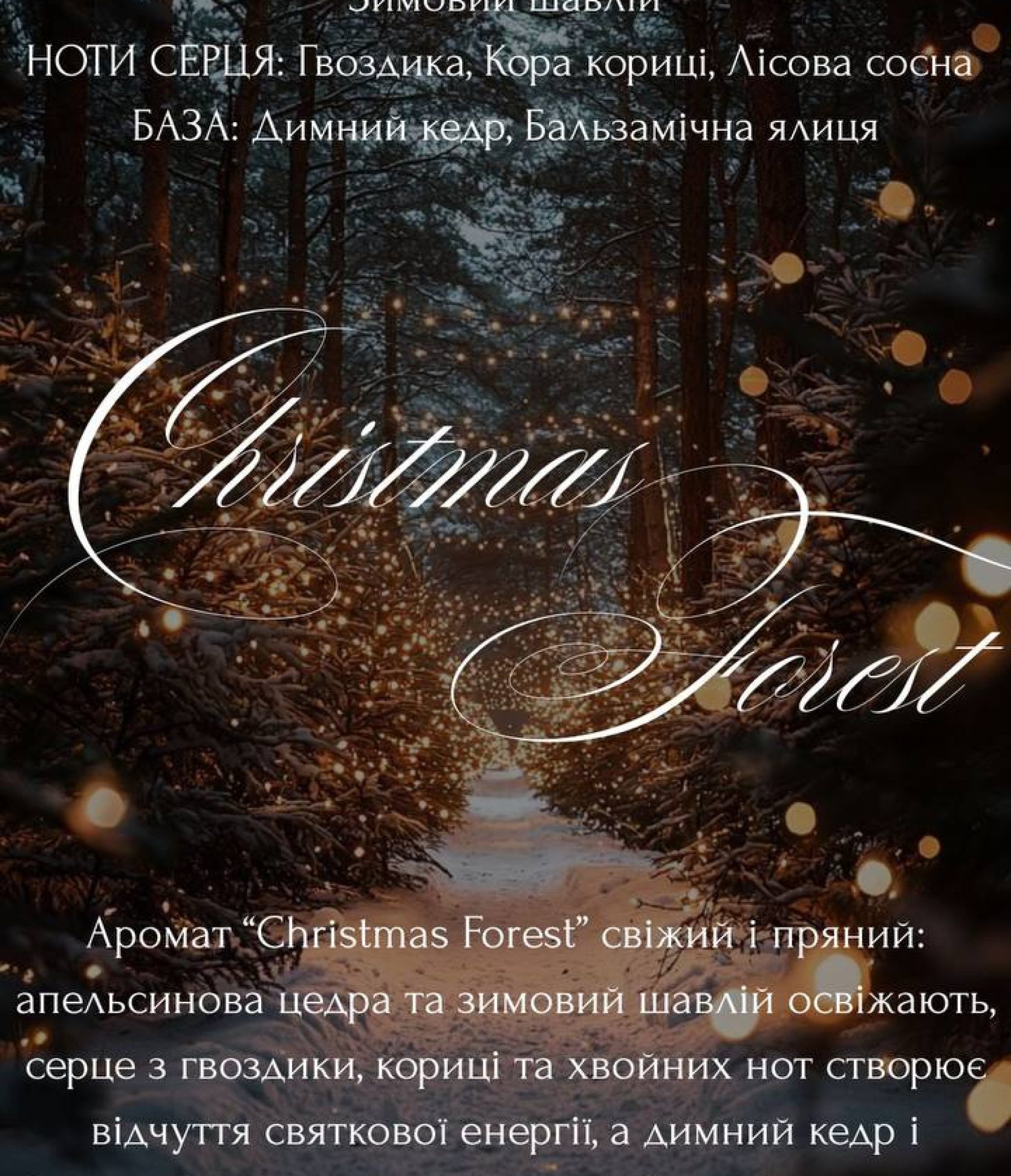 15_Christmas Forest