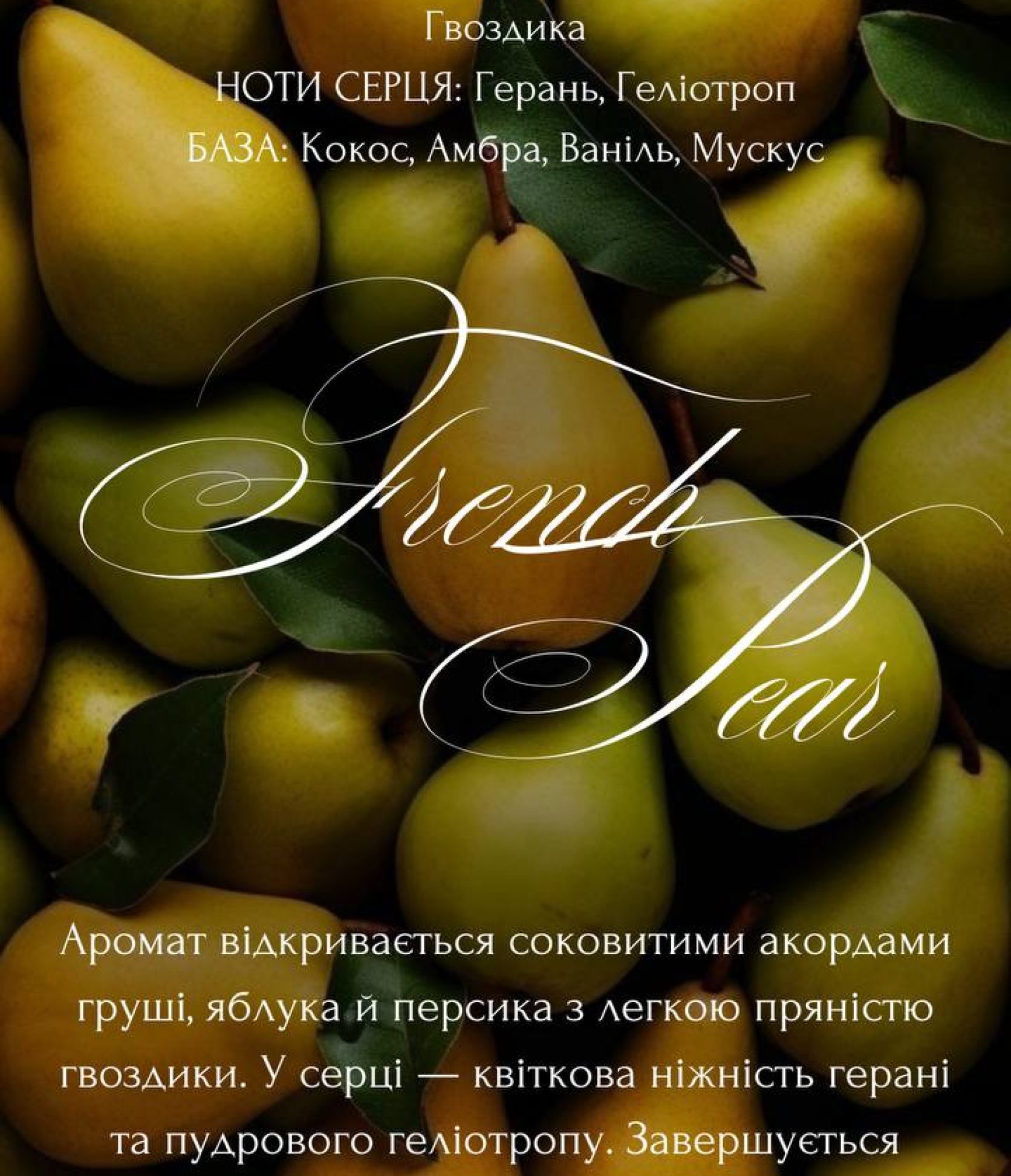 6_French Pear