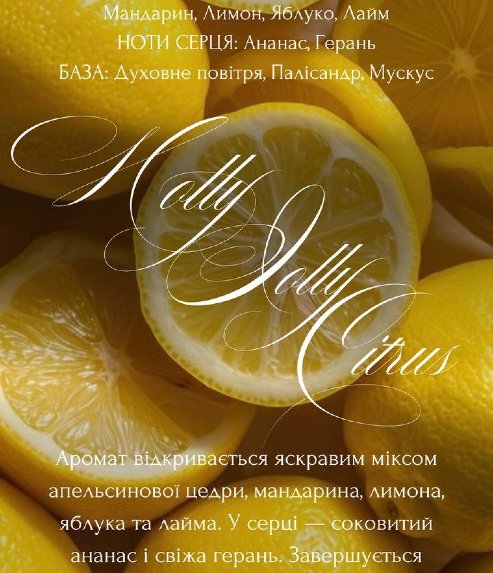 8_Holly Lilly Citrus